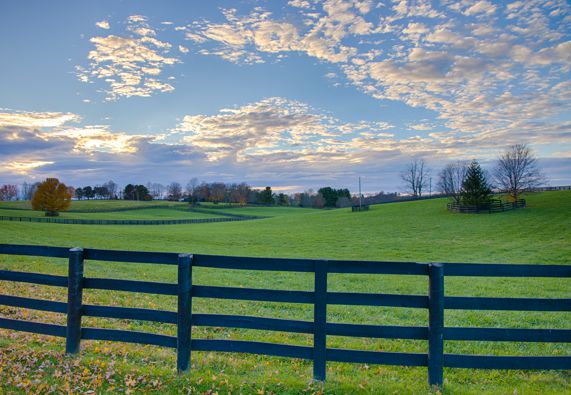 Equestrian Acreage Subdivision Approvals